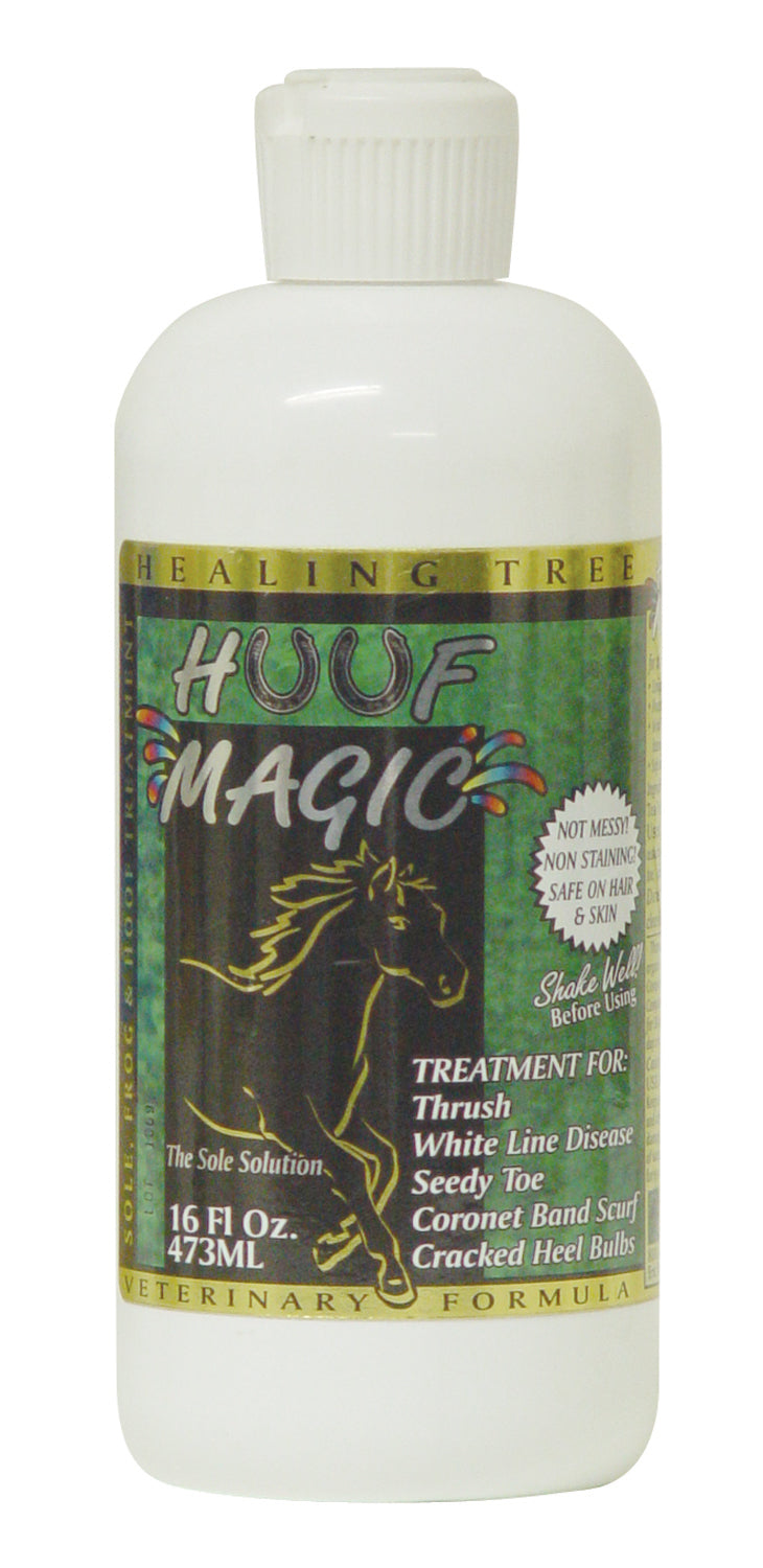 Equus Magnificusinc. D-Hoof Magic Thrush Antiseptic 6 16 Ounce