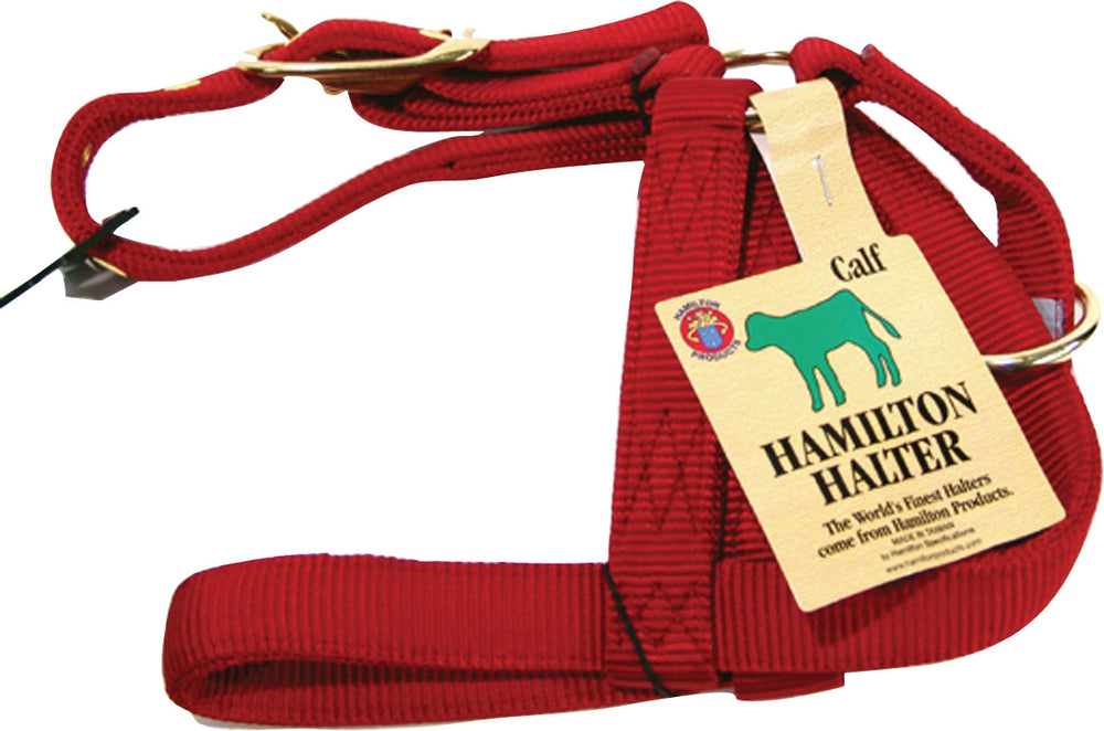 Hamilton Halter Company-Turnout Halter- Blue Calf