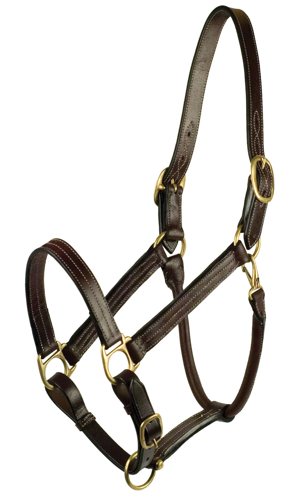 Gatsby Leather Company-Classic Adjustable Halter- Havanna Brown Horse