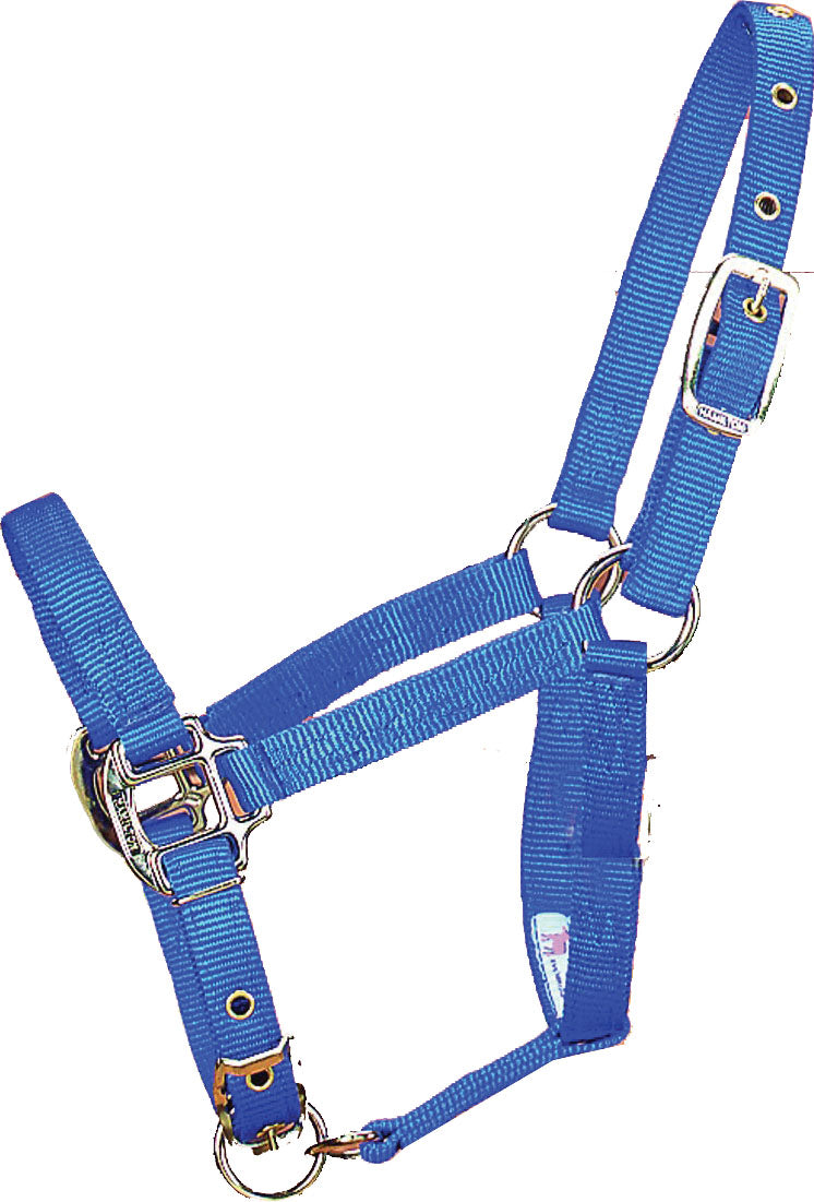 Hamilton Halter Company - Adjustable Chin Horse Halter With Snap