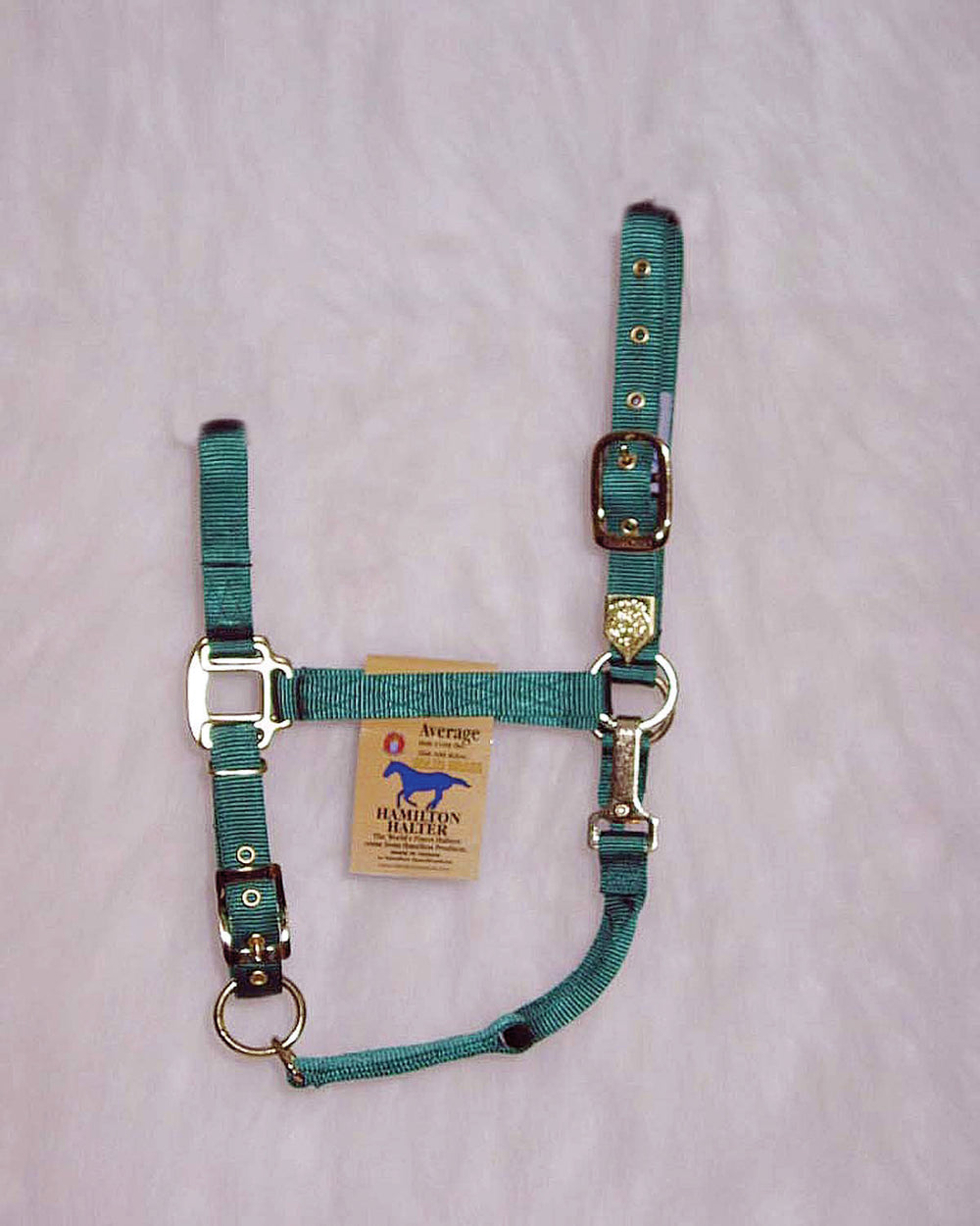 Hamilton Halter Company-Adjustable Chin Horse Halter With Snap- Blue Pony