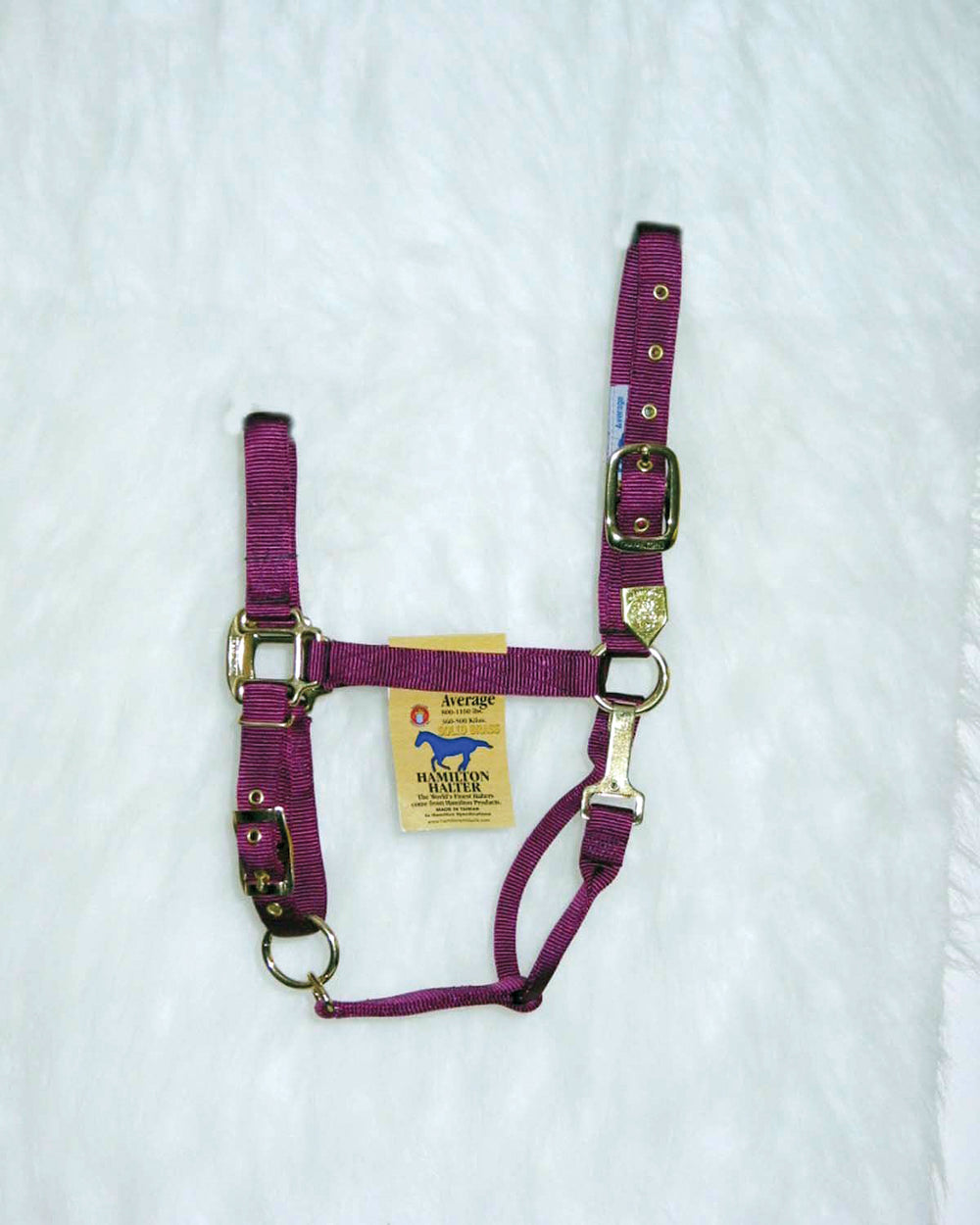 Hamilton Halter Company-Adjustable Chin Horse Halter With Snap- Navy Average