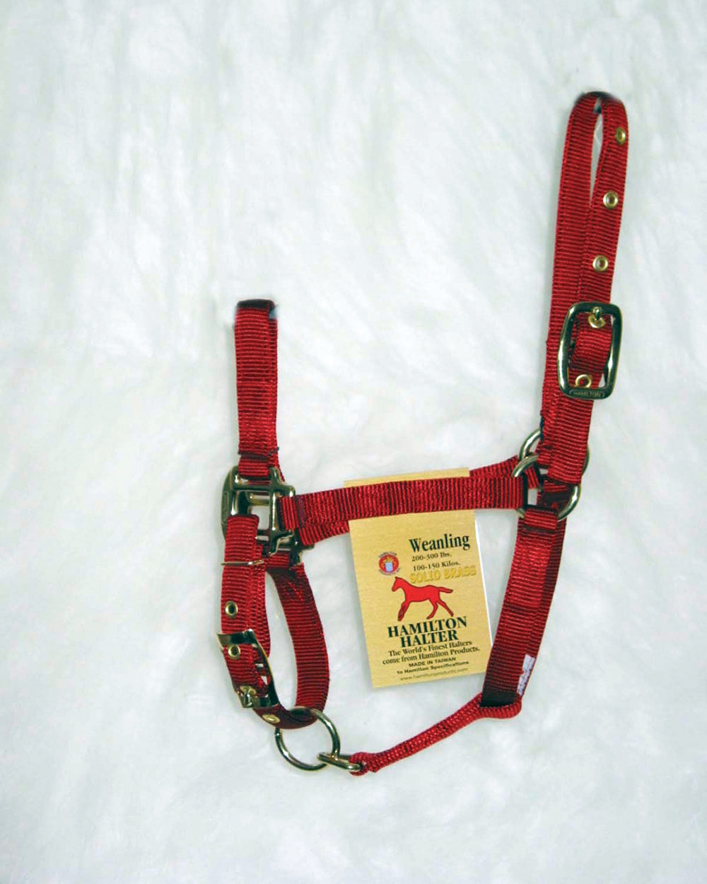 Hamilton Halter Company - Adjustable Chin Horse Halter With Snap