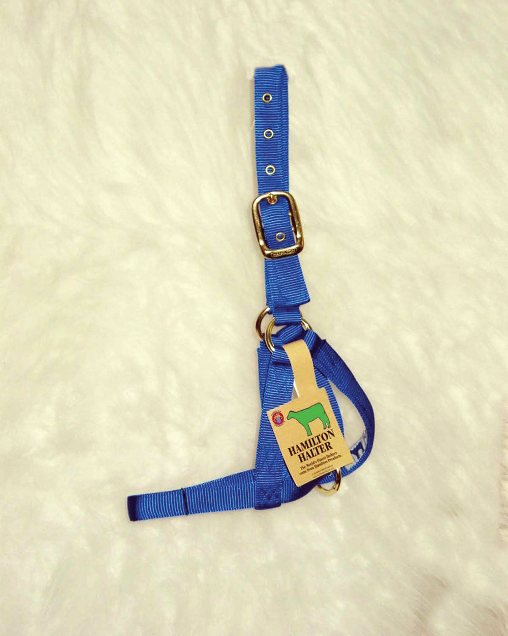 Hamilton Halter Company-Turnout Halter- Blue Calf