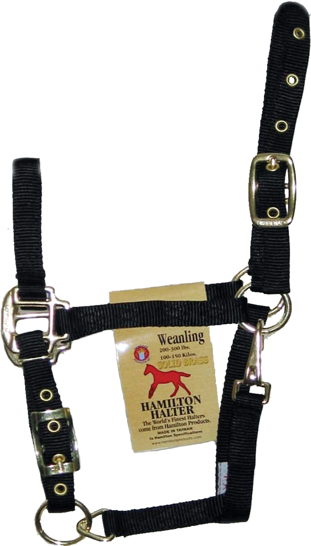Hamilton Halter Company-Adjustable Chin Horse Halter With Snap- Blue Pony