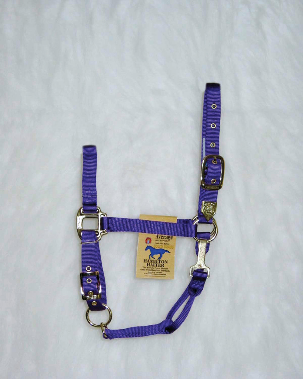 Hamilton Halter Company-Adjustable Chin Horse Halter With Snap- Blue Pony