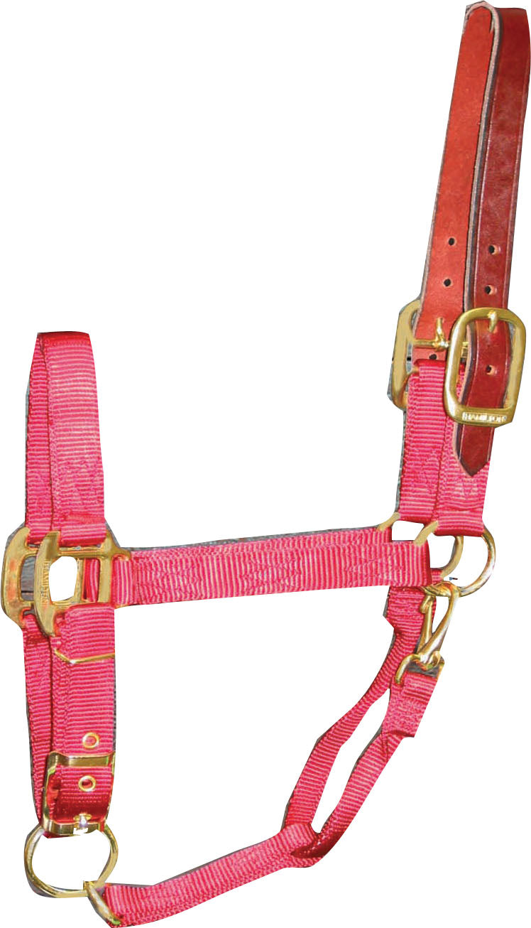 Hamilton Halter Company-Adjustable Horse Halter With Leather Headpole- Red Small