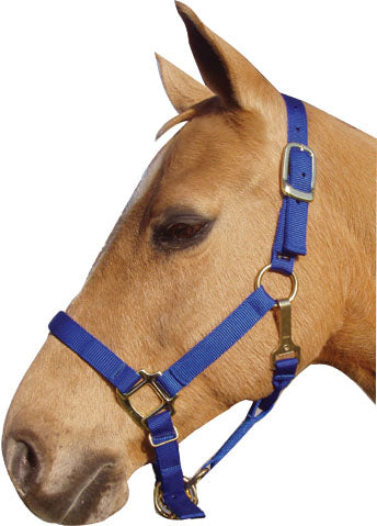 Horse And Livestock Prime-Premium Halter Chin With Snap- Navy Average
