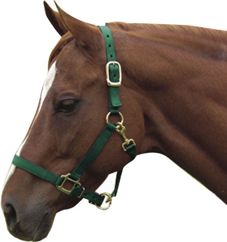 Horse And Livestock Prime-Premium Halter Chin With Snap- Navy Average