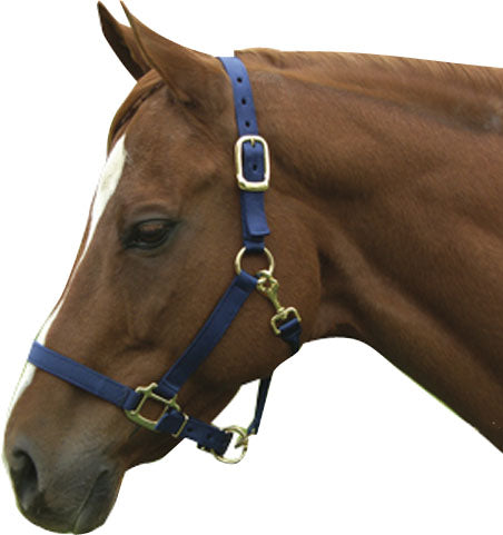 Horse And Livestock Prime-Premium Halter Chin With Snap- Navy Average